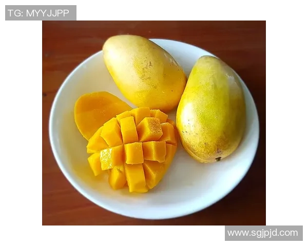 游泳对身体健康的全面促进作用与长期坚持的益处分析