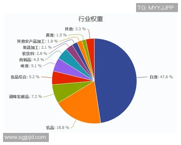 上海极限运动队的区域防守策略与热点分析探讨